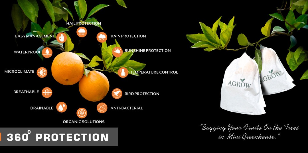AGROWHave You Bagged Your Citrus?