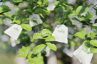 Guava Growing Bags